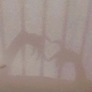 Meet your Posher, Frances